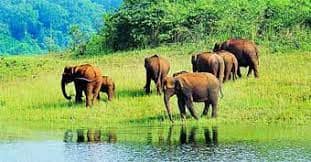 kerala best tour packages
